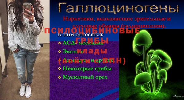 не бодяженный Медвежьегорск