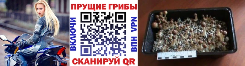 Галлюциногенные грибы мухоморы  Иркутск 